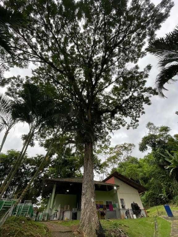 Terreno, 7 hectares - Foto 7