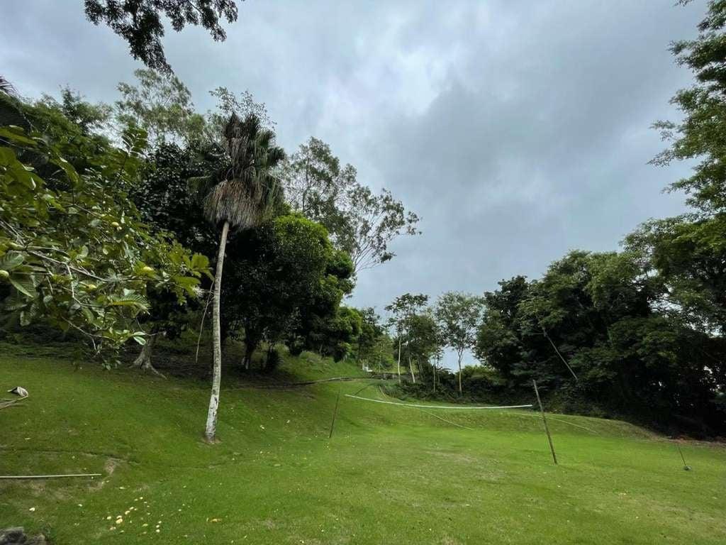 Terreno, 7 hectares - Foto 8