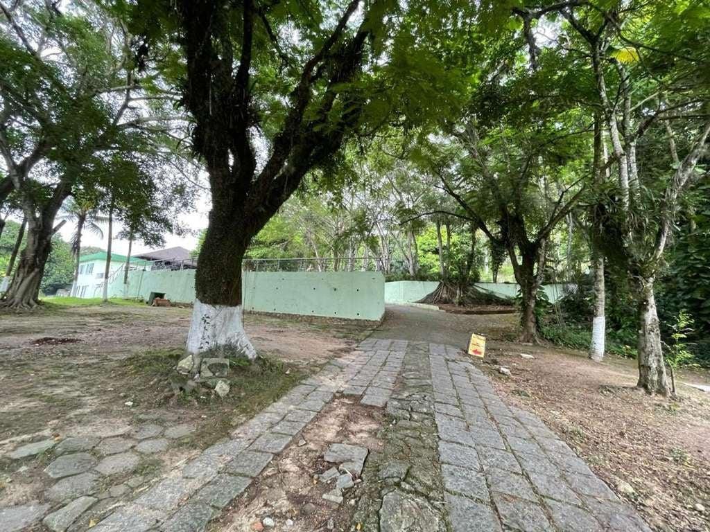 Terreno, 7 hectares - Foto 17