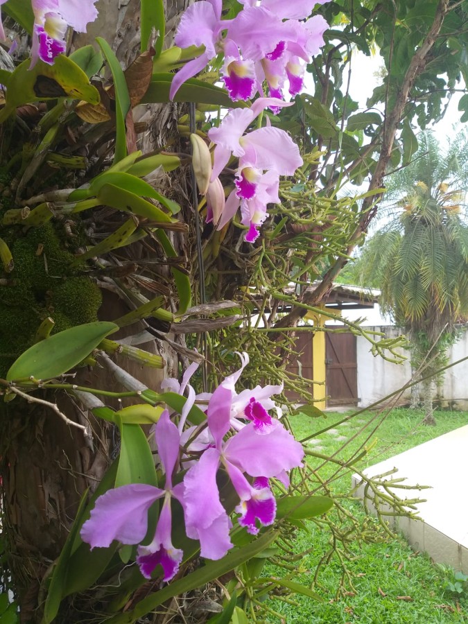 Casa de Condomínio, 3 quartos - Foto 14