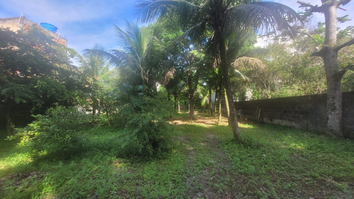 Terreno, 2720 m² - Foto 14