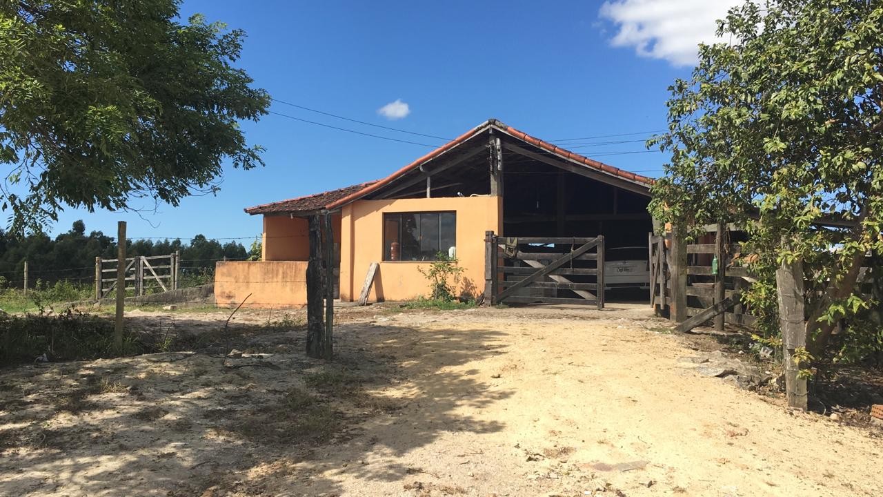 Fazenda, 5 hectares - Foto 6