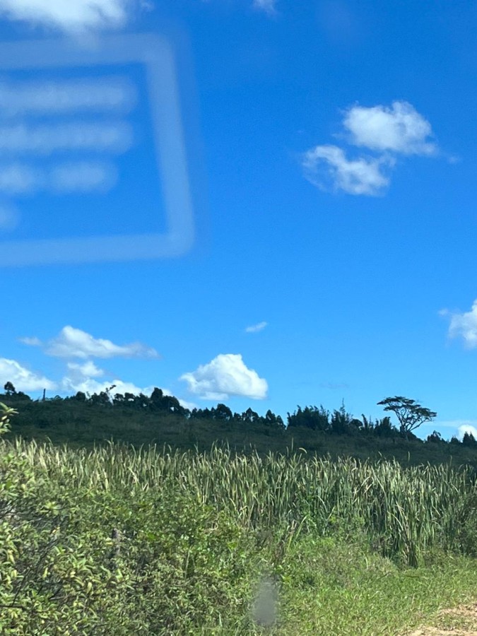 Fazenda, 5 hectares - Foto 19