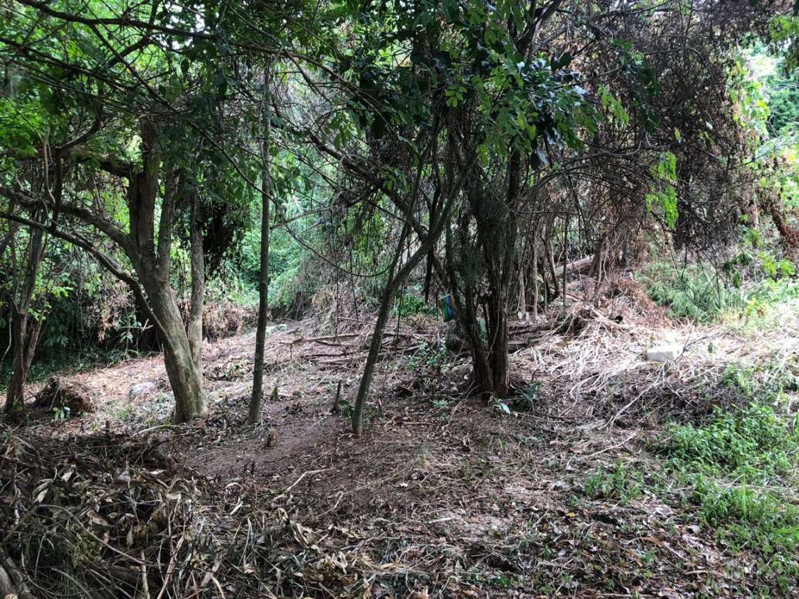 Terreno, 498 m² - Foto 1