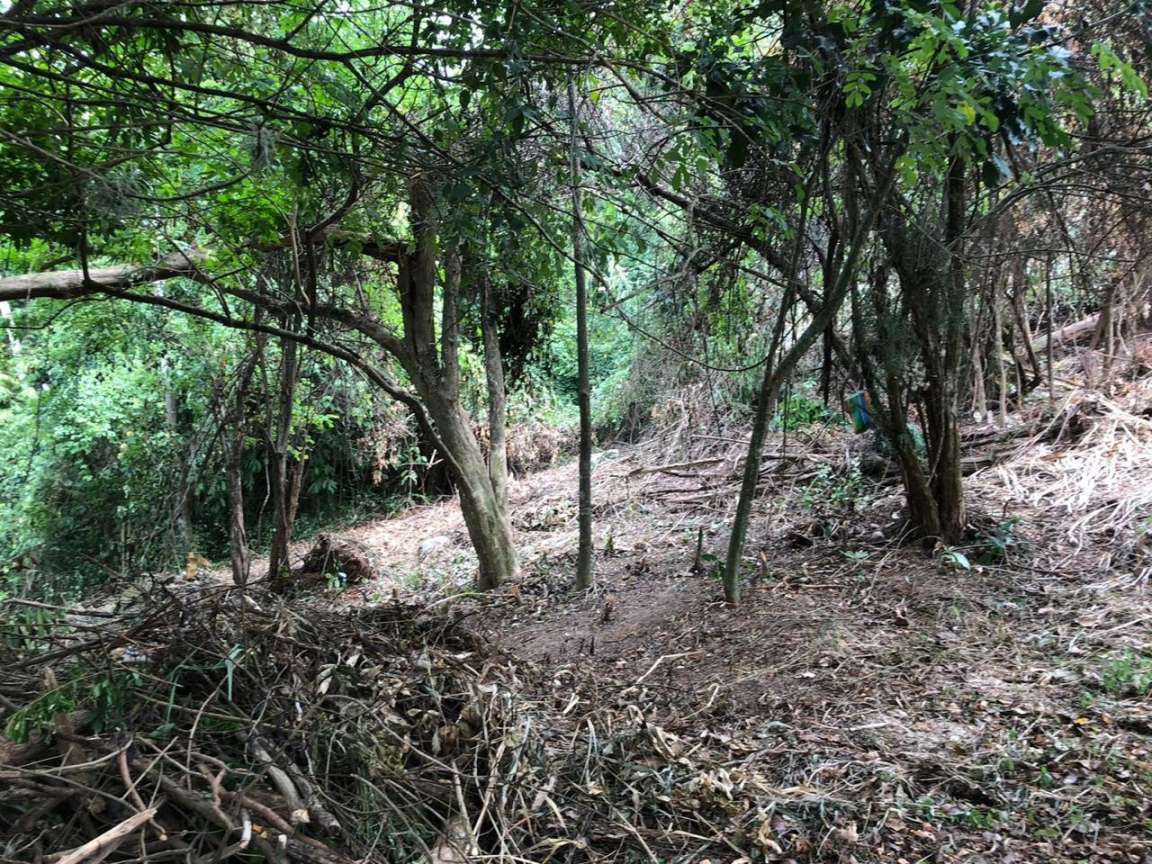 Terreno, 498 m² - Foto 2