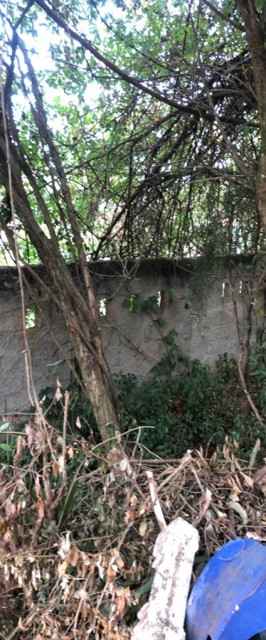 Terreno, 498 m² - Foto 3