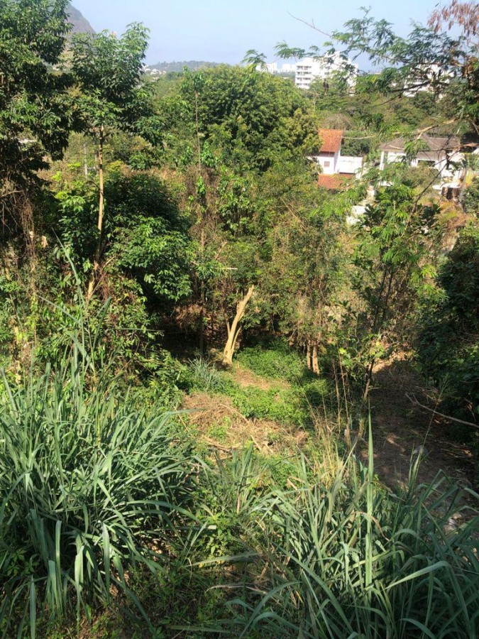 Terreno, 498 m² - Foto 6