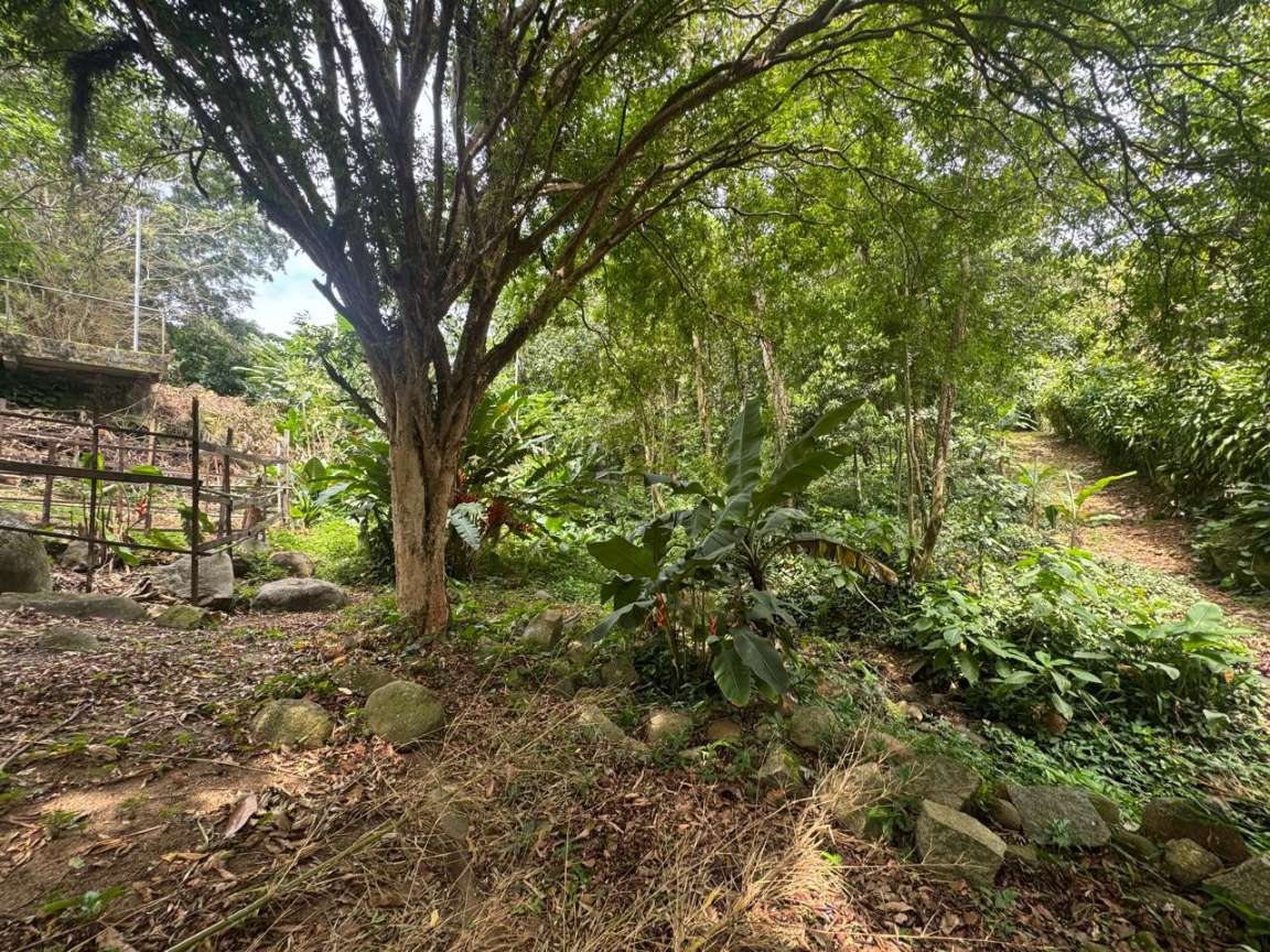 Sítio, 1 hectares - Foto 3