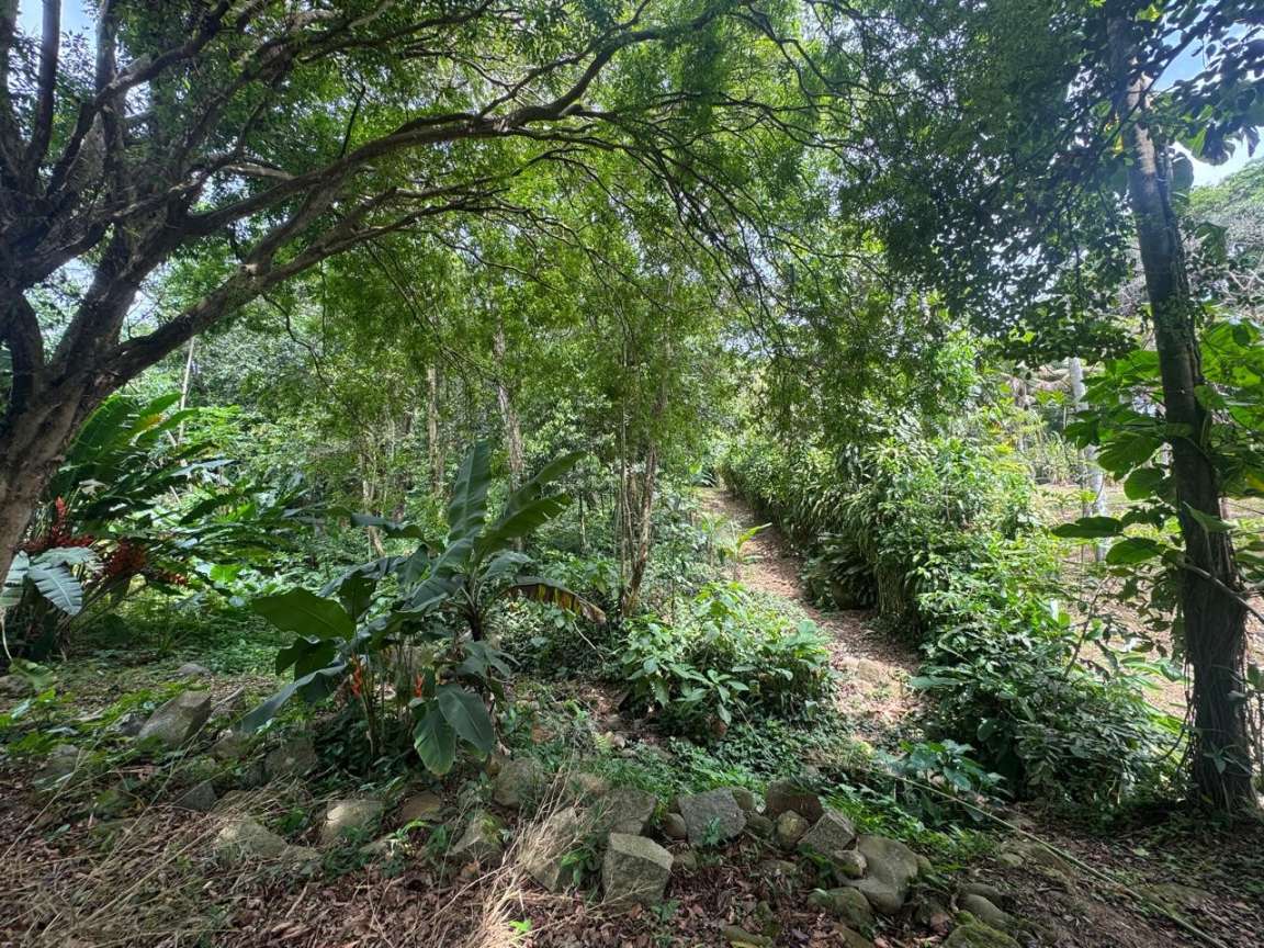 Sítio, 1 hectares - Foto 2