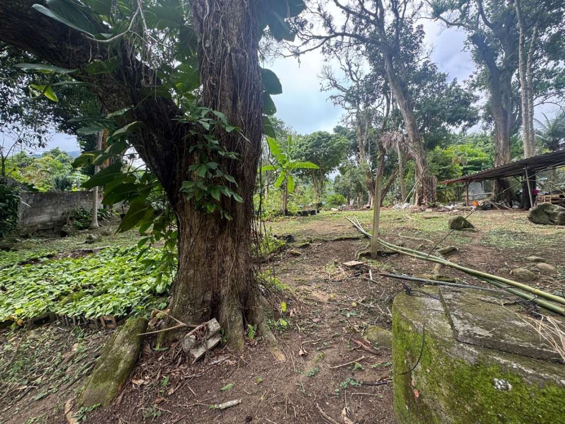 Sítio, 1 hectares - Foto 6