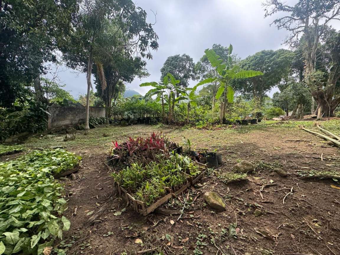 Sítio, 1 hectares - Foto 7