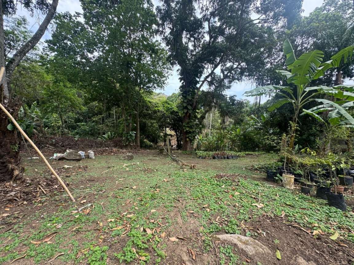 Sítio, 1 hectares - Foto 8