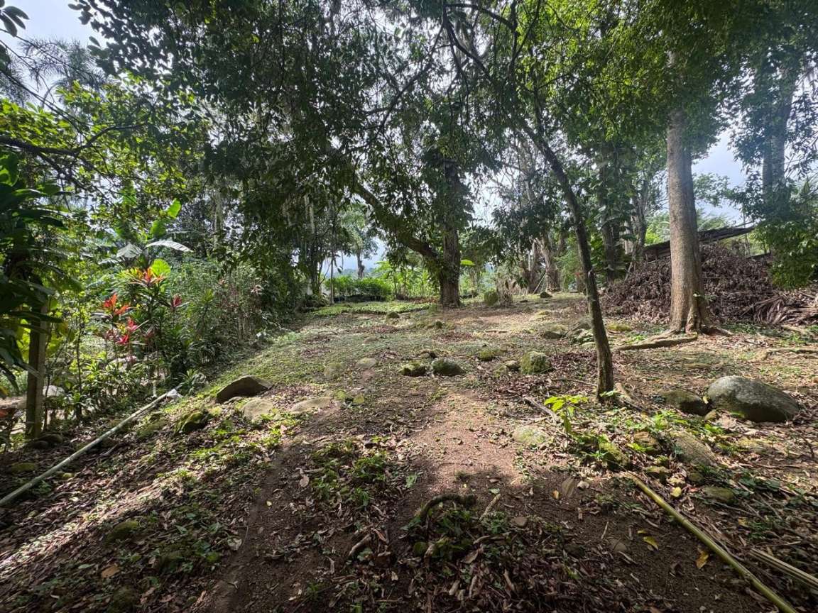 Sítio, 1 hectares - Foto 9