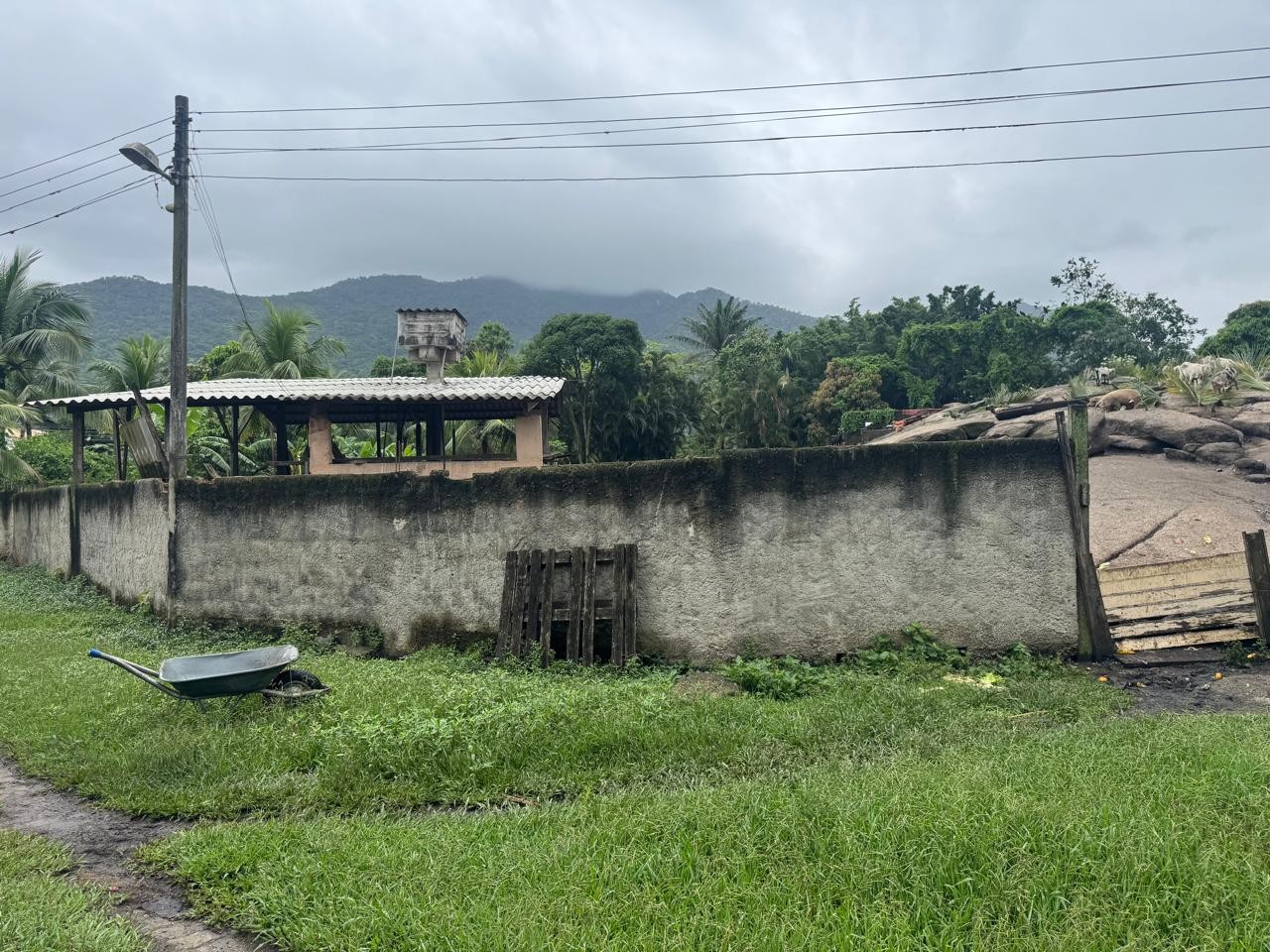 Terreno, 1 hectares - Foto 1