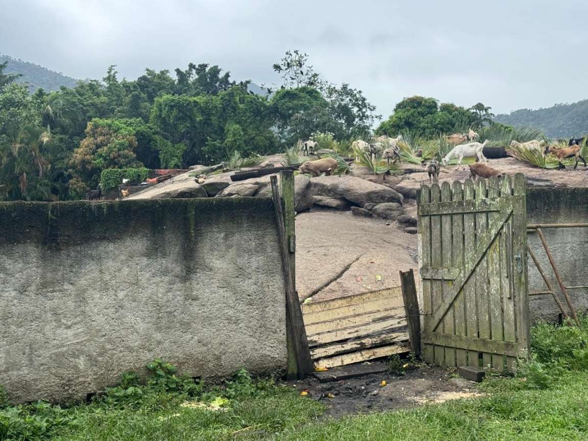 Terreno, 1 hectares - Foto 4