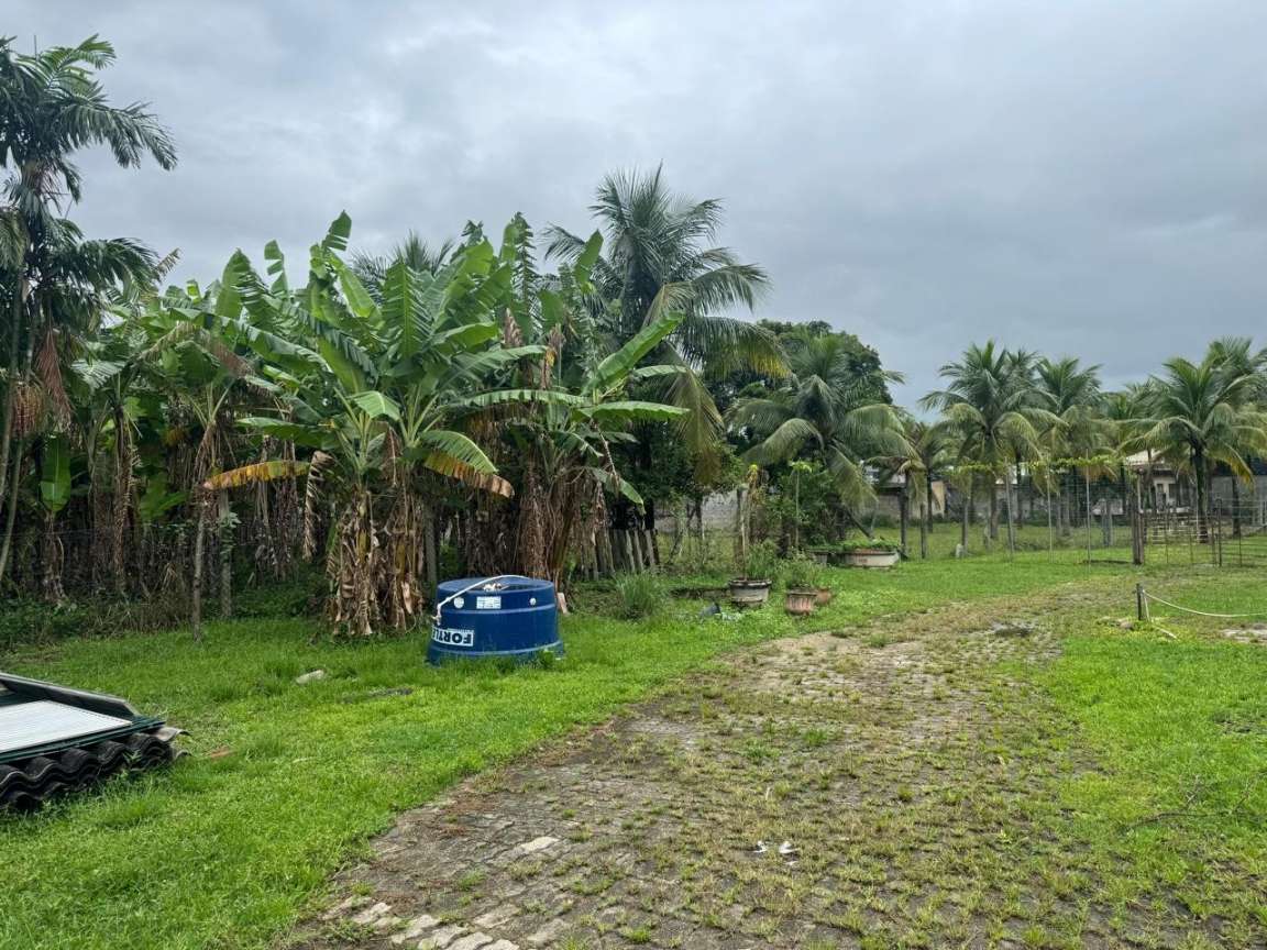 Terreno, 1 hectares - Foto 7