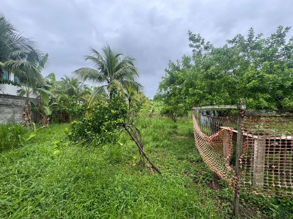 Terreno, 1 hectares - Foto 9