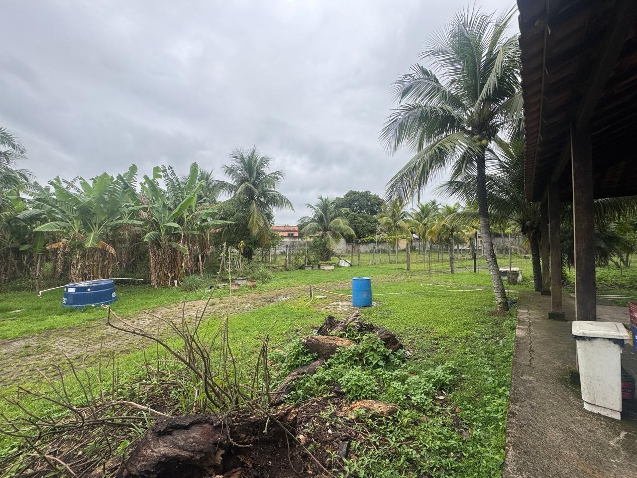 Terreno, 1 hectares - Foto 12