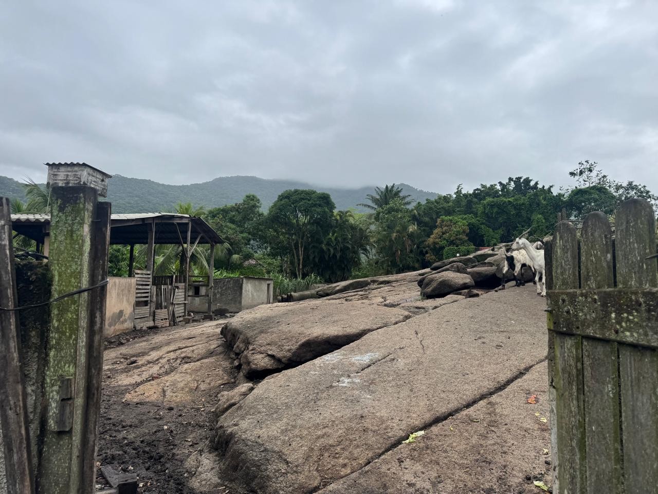 Terreno, 1 hectares - Foto 14