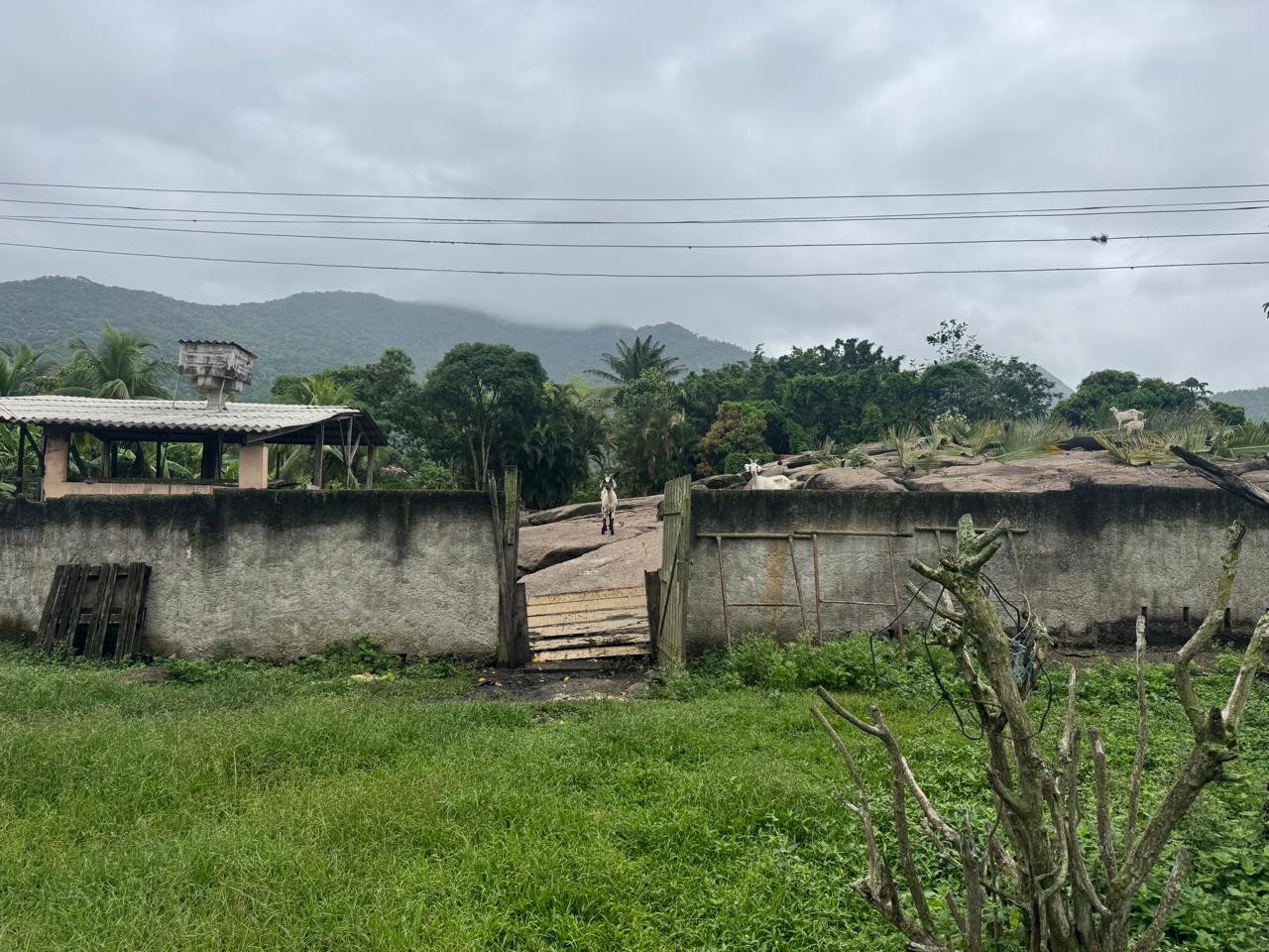 Terreno, 1 hectares - Foto 13