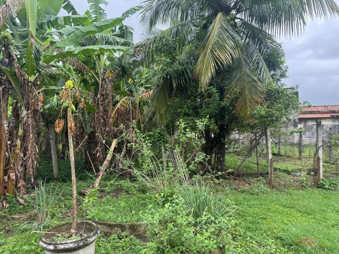 Terreno, 1 hectares - Foto 17