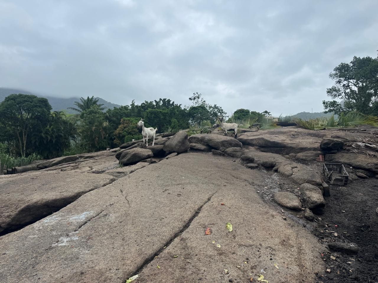 Terreno, 1 hectares - Foto 16