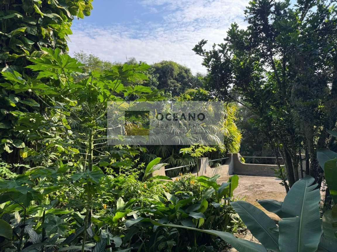 Sítio, 2 hectares - Foto 11